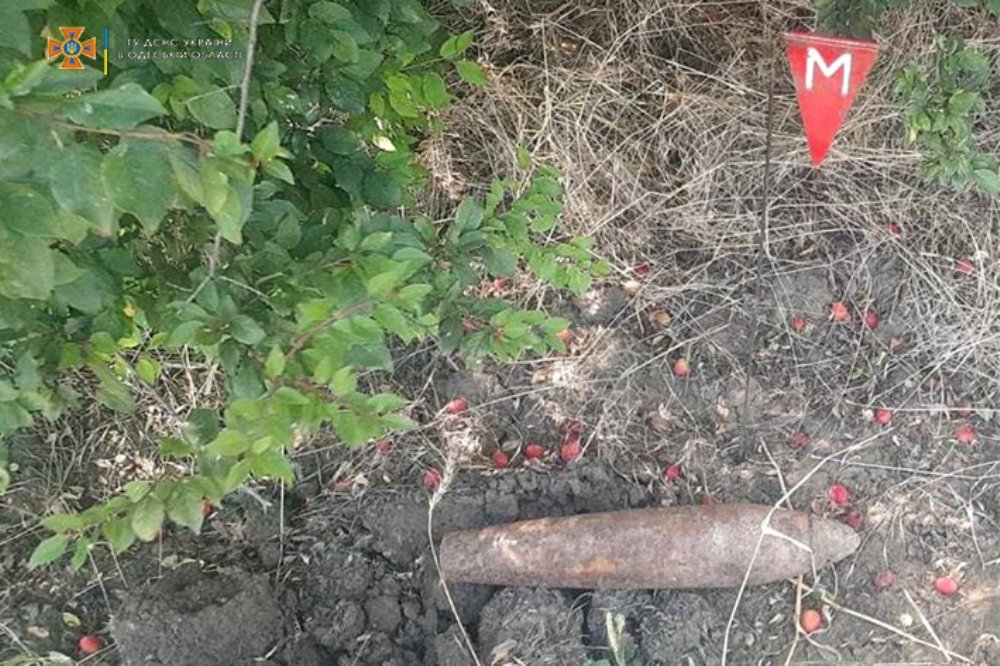 Вблизи Одессы нашли авиационную бомбу времен Второй мировой войны, - ФОТО, фото-2