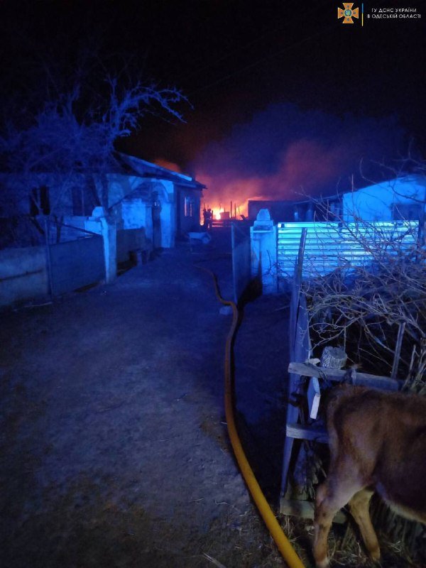 Сгорело 180 овец: в Одесской области тушили масштабный пожар, - ФОТО , фото-1
