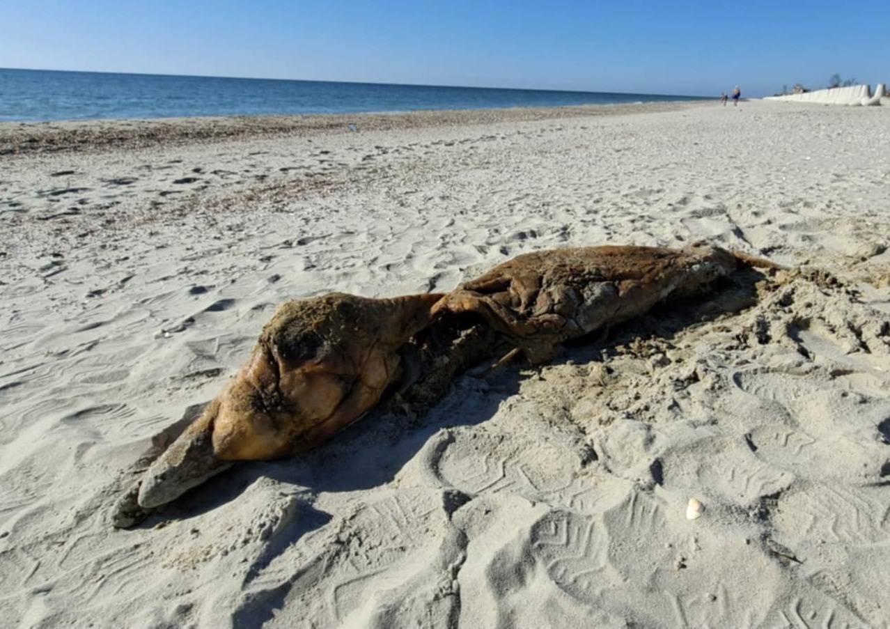 Фото зі сторінки Івана Русєва у Facebook