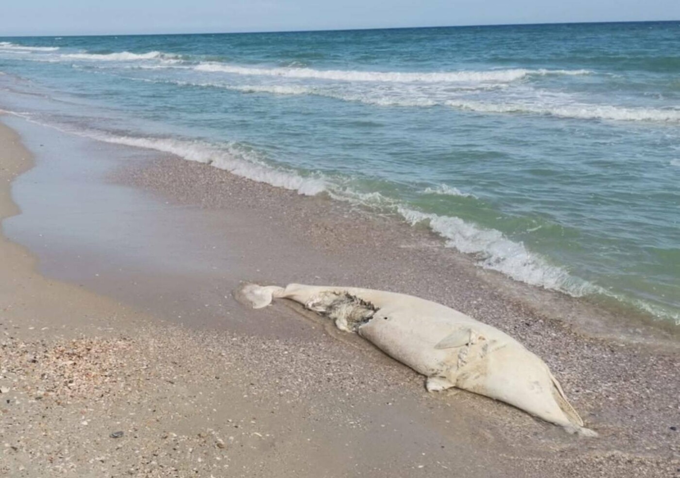 Фото зі сторінки Івана Русєва у Facebook
