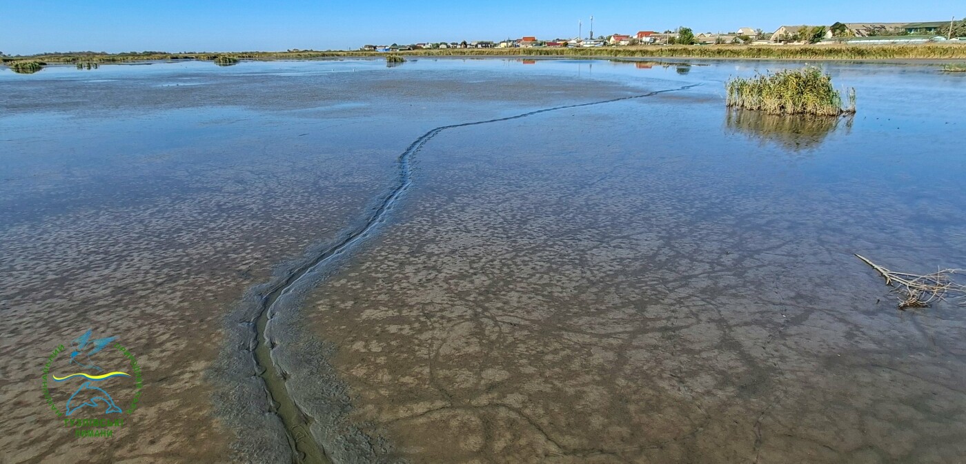 Фото зі сторінки Івана Русєва у Facebook Фото зі сторінки Івана Русєва у Facebook