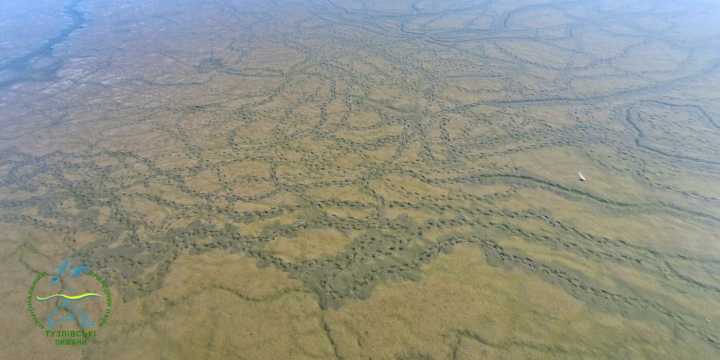 Фото зі сторінки Івана Русєва у Facebook Фото зі сторінки Івана Русєва у Facebook