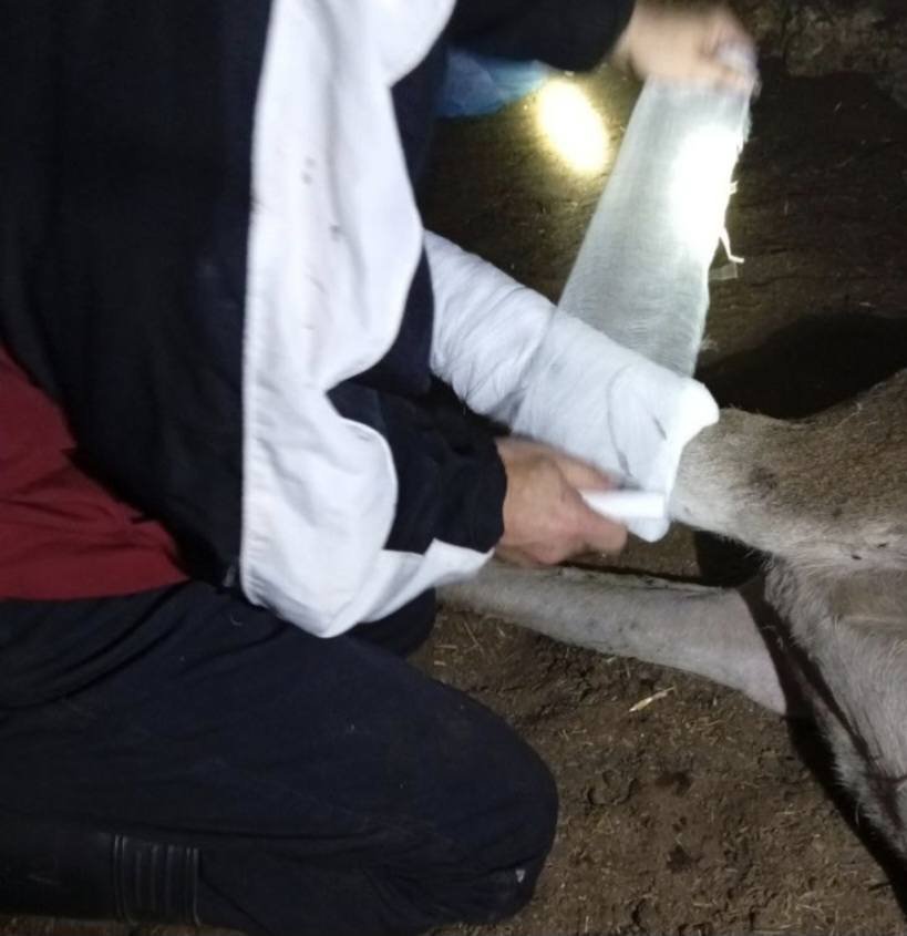 Фото Ігоря Білякова