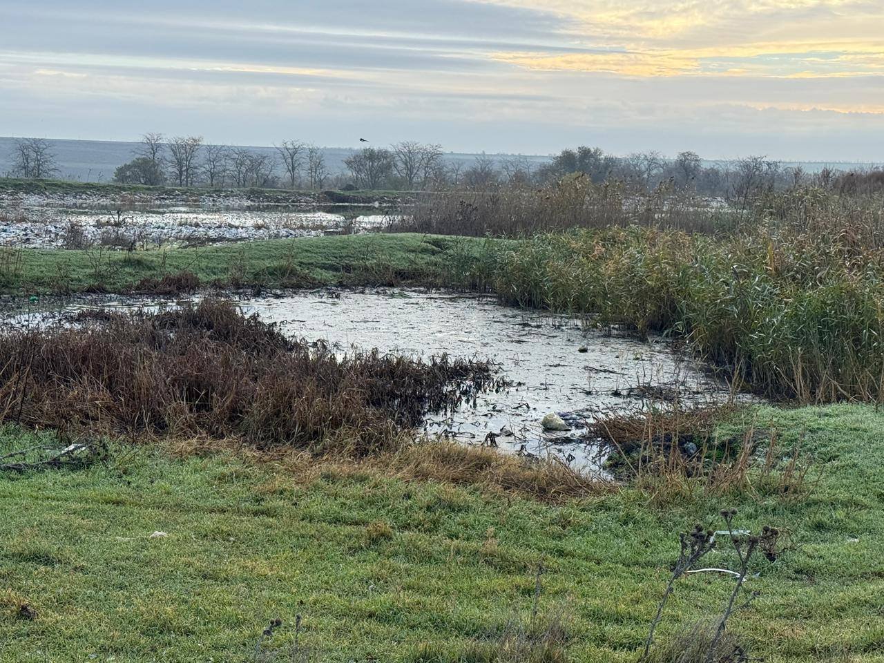 Фото Держекоінспекції