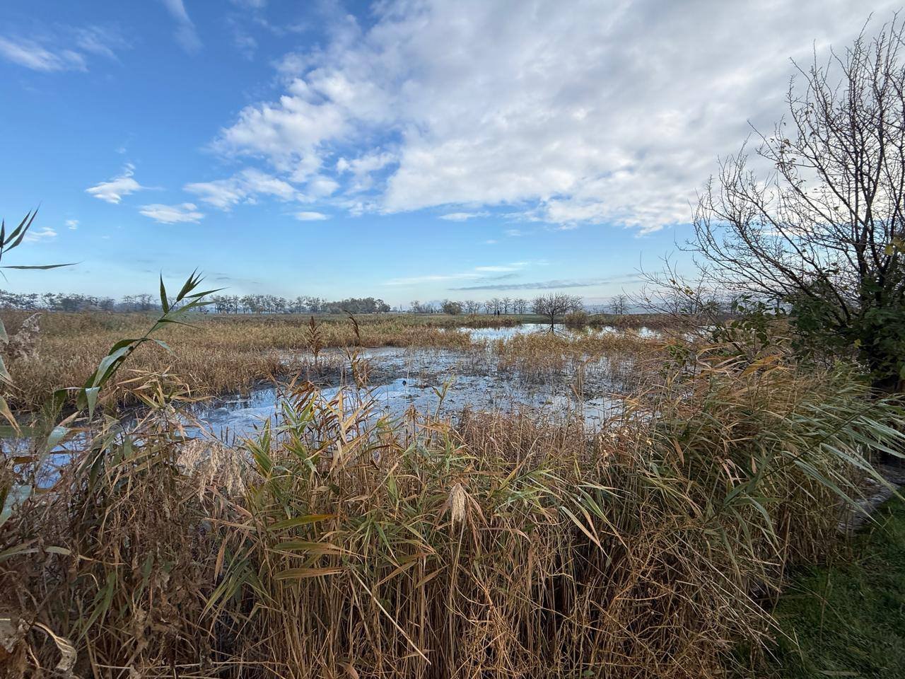 Фото Держекоінспекції
