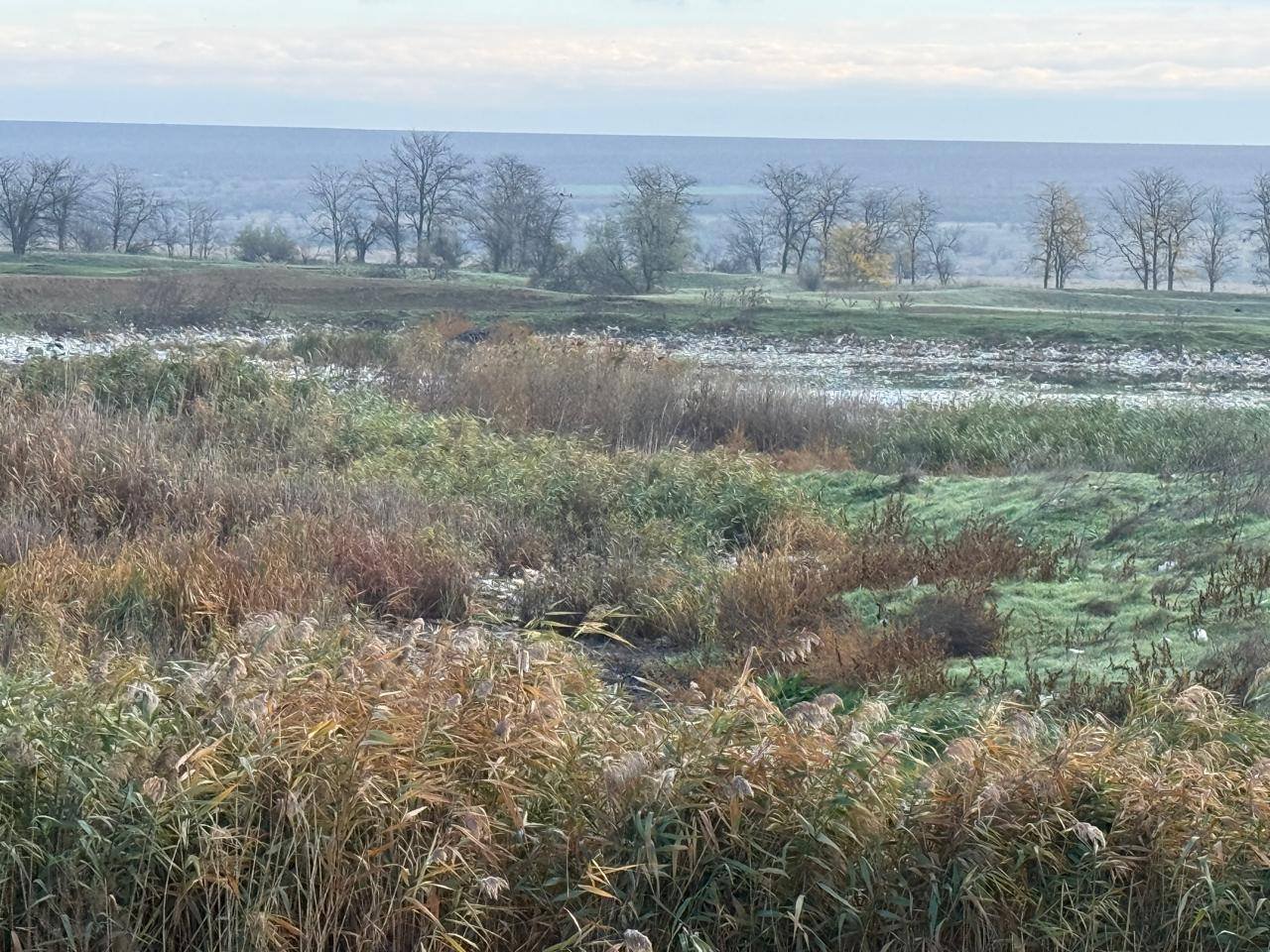 Фото Держекоінспекції