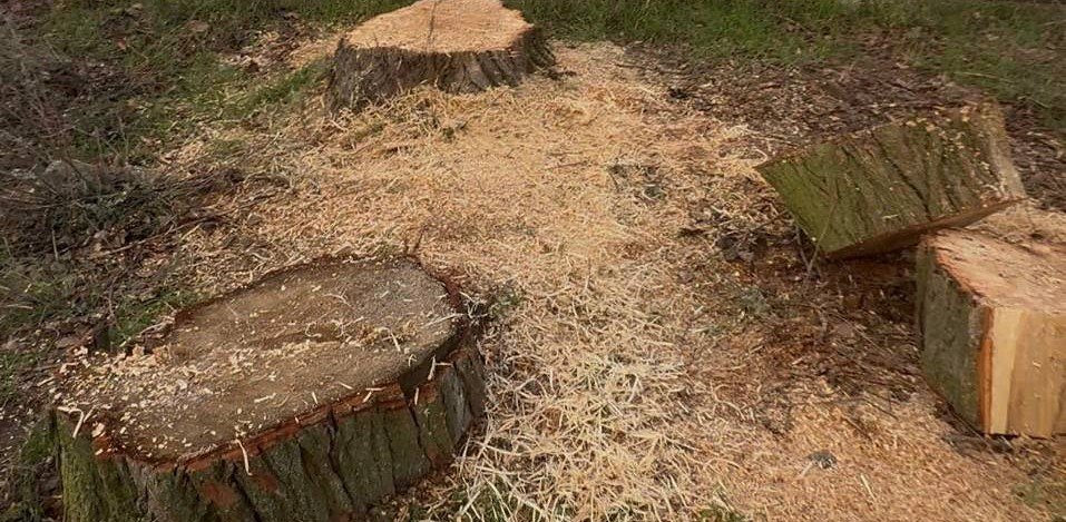 Фото Державної екологічної інспекції Південно-Західного округу