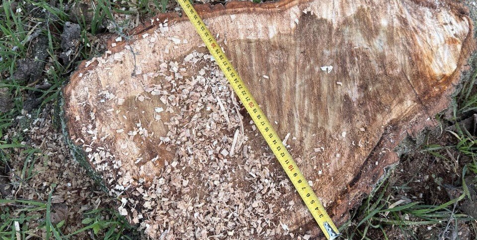 Фото Державної екологічної інспекції Південно-Західного округу