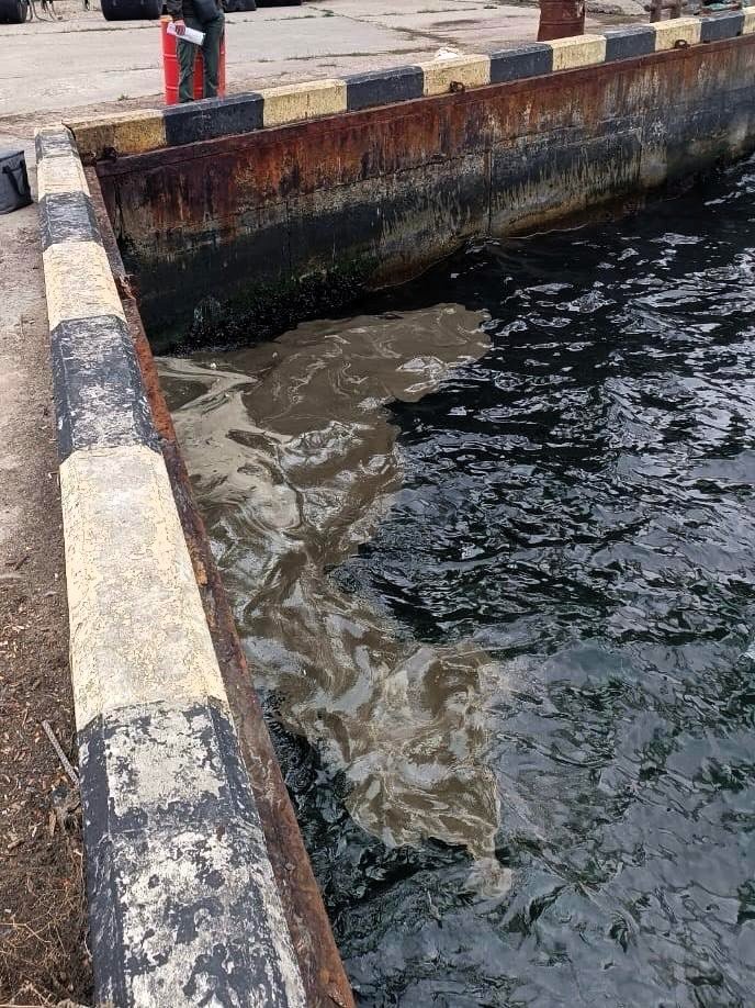 Фото Госэкоинспекции