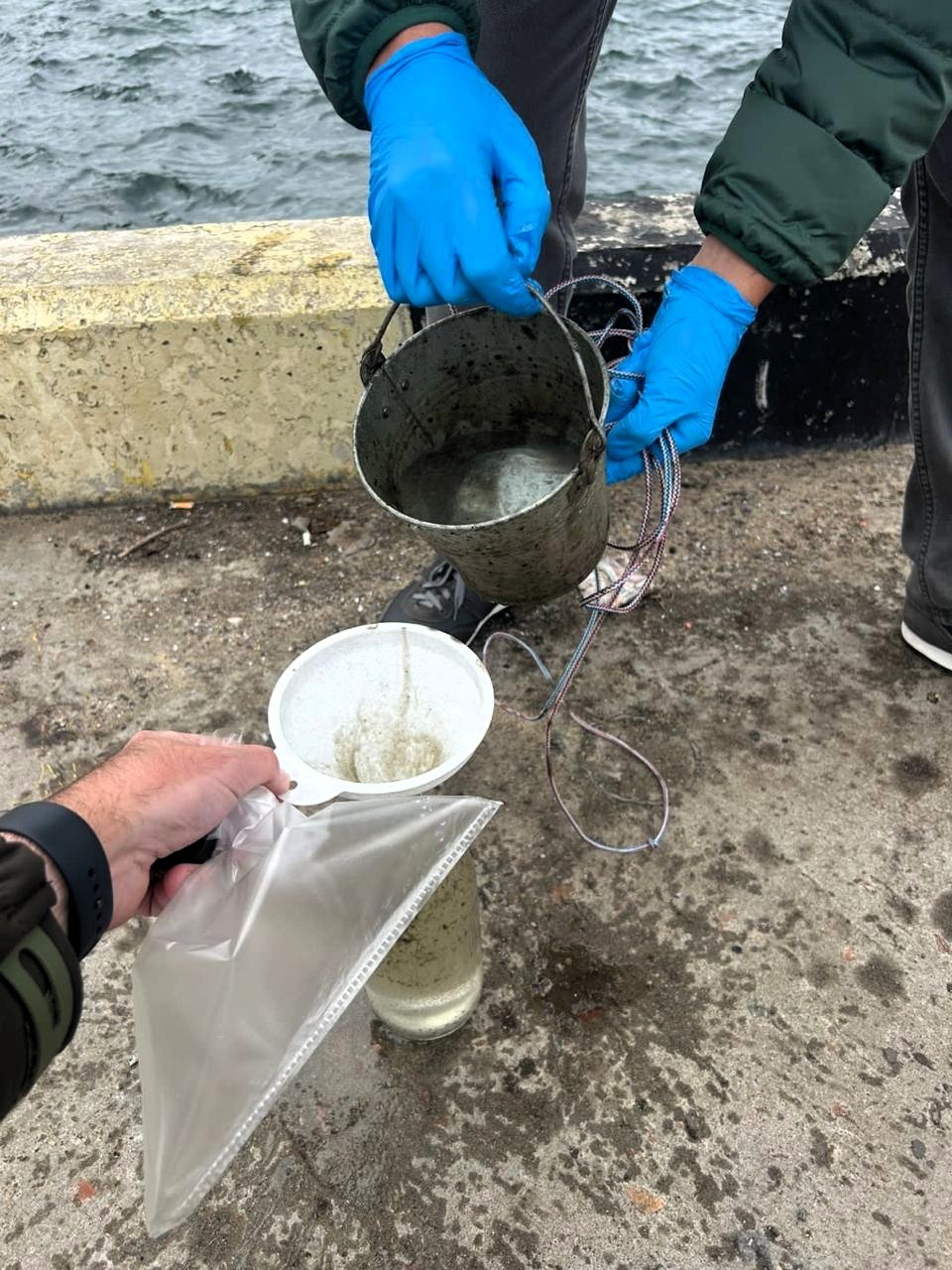 Фото Госэкоинспекции