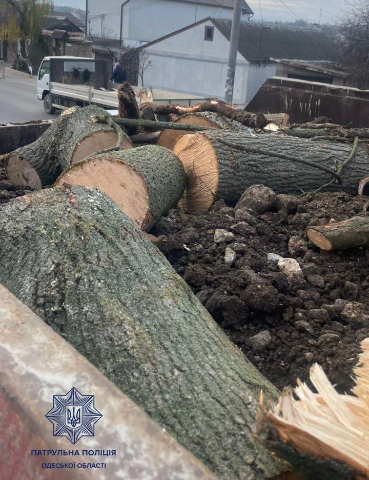 Незаконне перевезення деревини