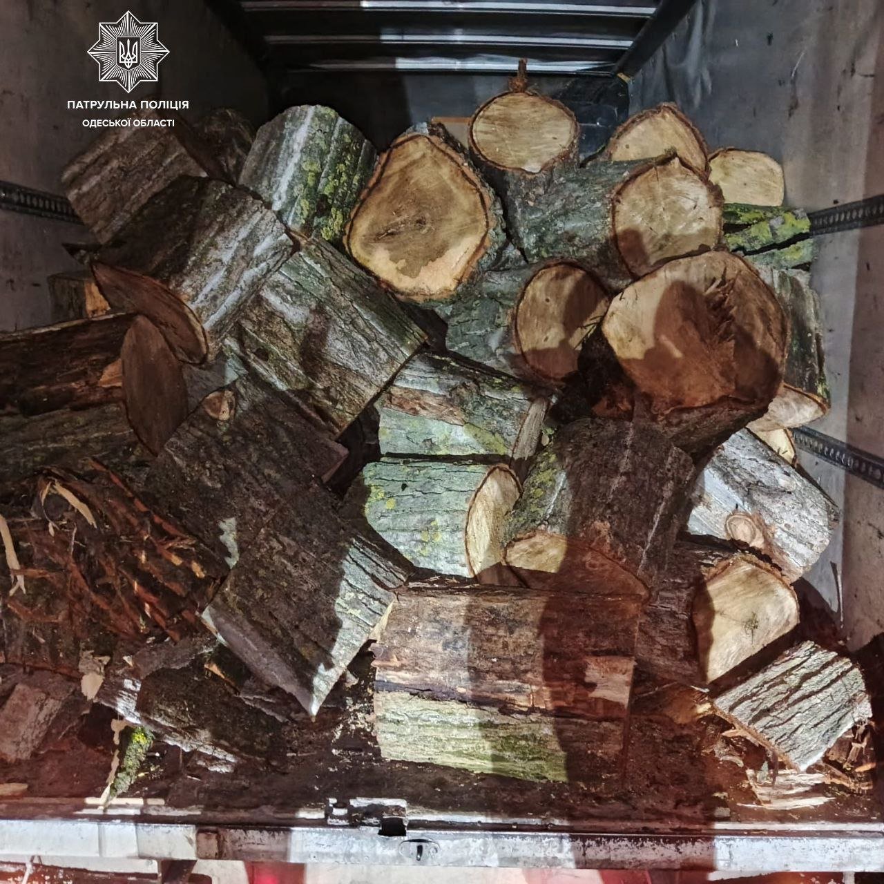 Незаконне перевезення деревини