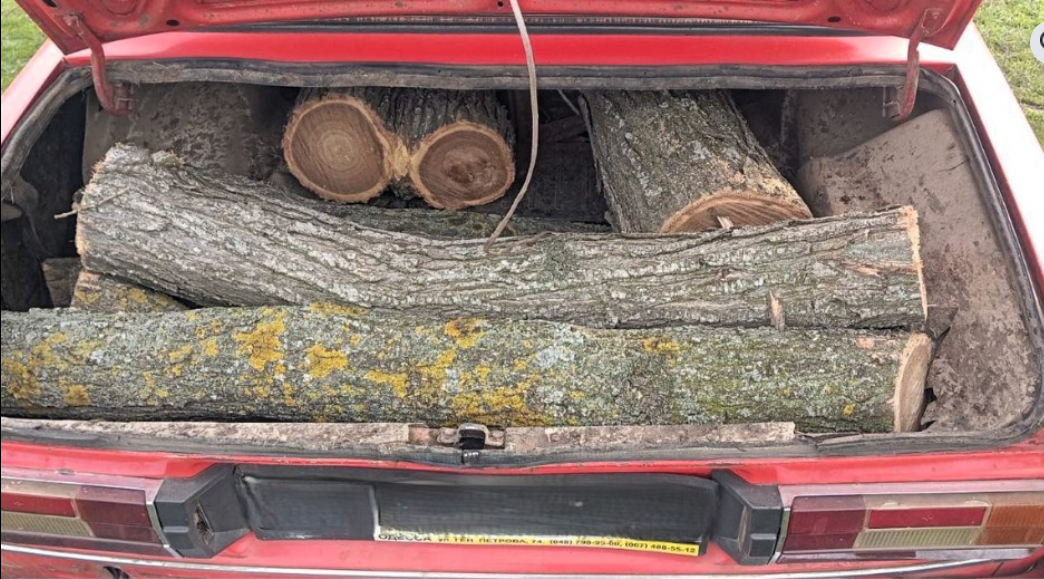 Зрублені дерева