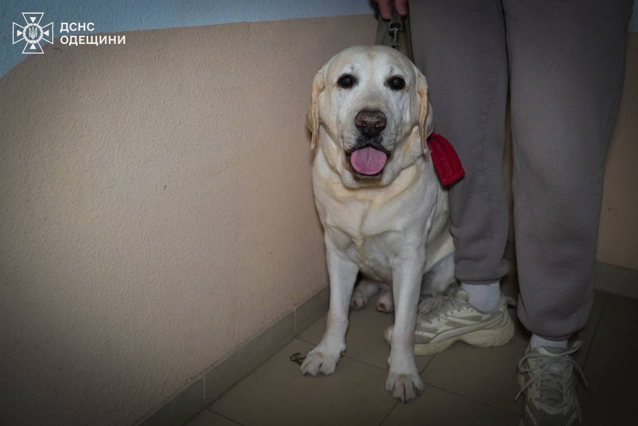 Наслідки атаки на Одесу 17 лютого