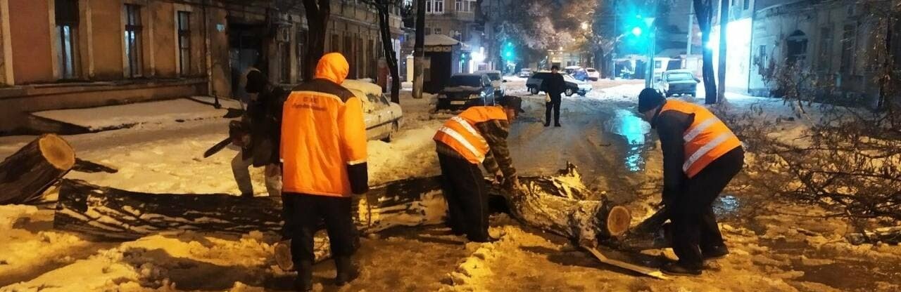 В Одессе упало почти 500 деревьев и крупных веток, - ФОТО