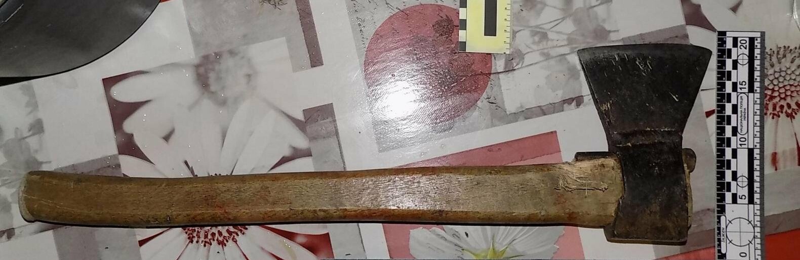 В Одесской области мужчина ударил топором своего отца из-за сигареты, - ФОТО