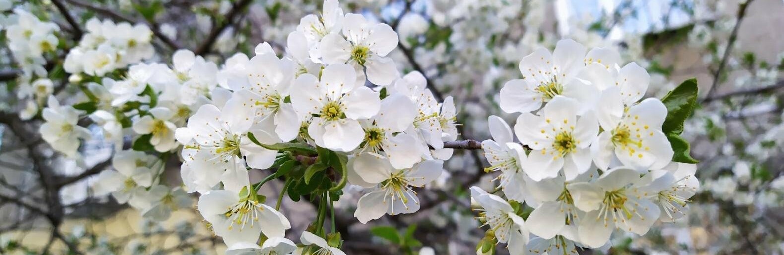 Погода апрель май. Погода на март апрель. Какая погода в апреле. Какой ожидается апрель. Погода в апреле фото.