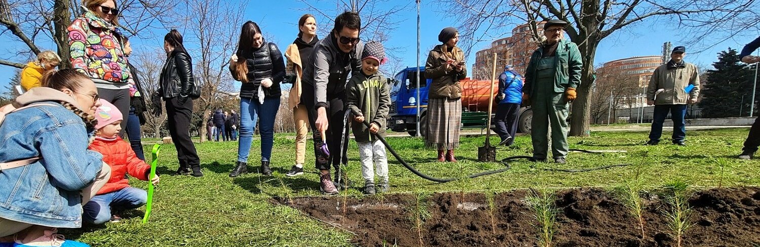 Возле Одесской обладминистрации провели субботник и высадили сосны, - ФОТОРЕПОРТАЖ, ВИДЕО 