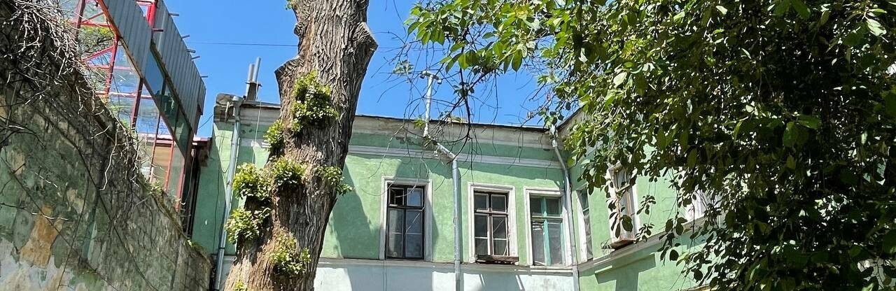 Пушкинский тополь в Одессе пустил побеги,- ФОТО