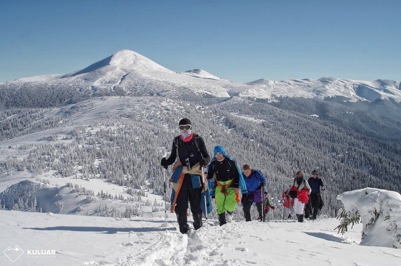 Группа туристов клуба Kuluar поднимается по заснеженному склону в зимних Карпатах на фоне белых вершин и покрытого снегом хвойного леса