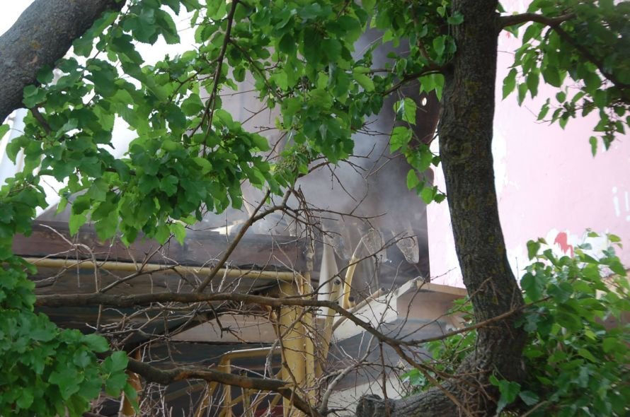 461179_267716126708330_1467464498_o