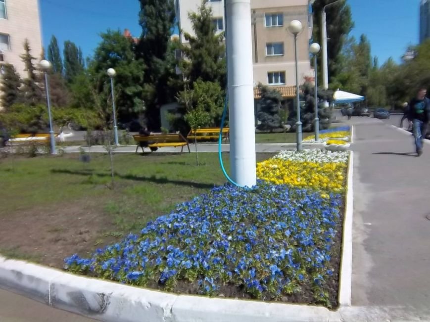 10295041_1525302501024921_7423114311107853081_o