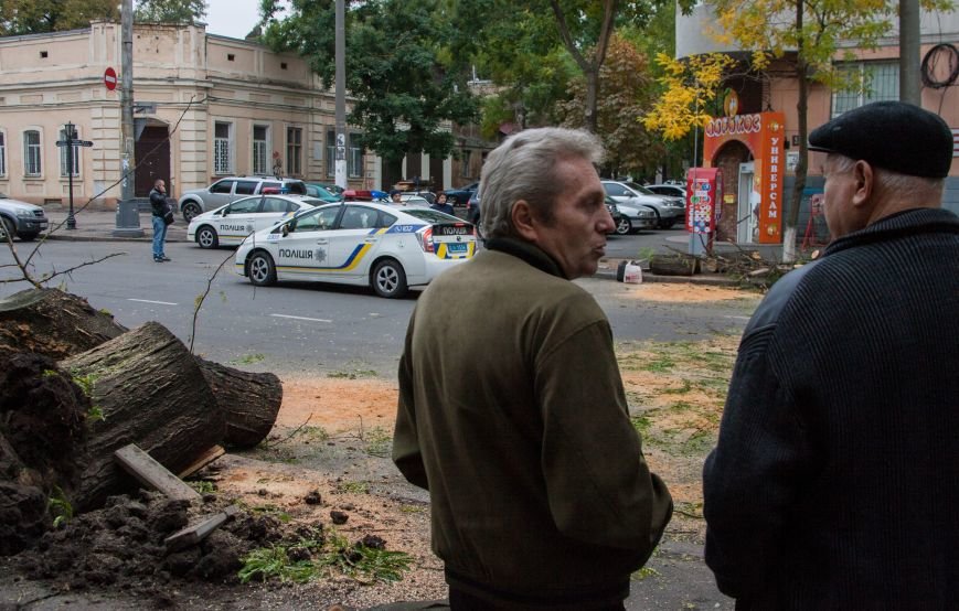 В Одессе рухнувшее дерево перекрыло движение и повредило машины (ФОТО) (фото) - фото 2