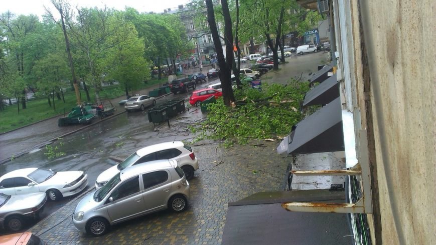 На одесской Соборке огромные ветки перекрыли тротуар (ФОТО) (фото) - фото 1 На одесской Соборке огромные ветки перекрыли тротуар (ФОТО) (фото) - фото 1