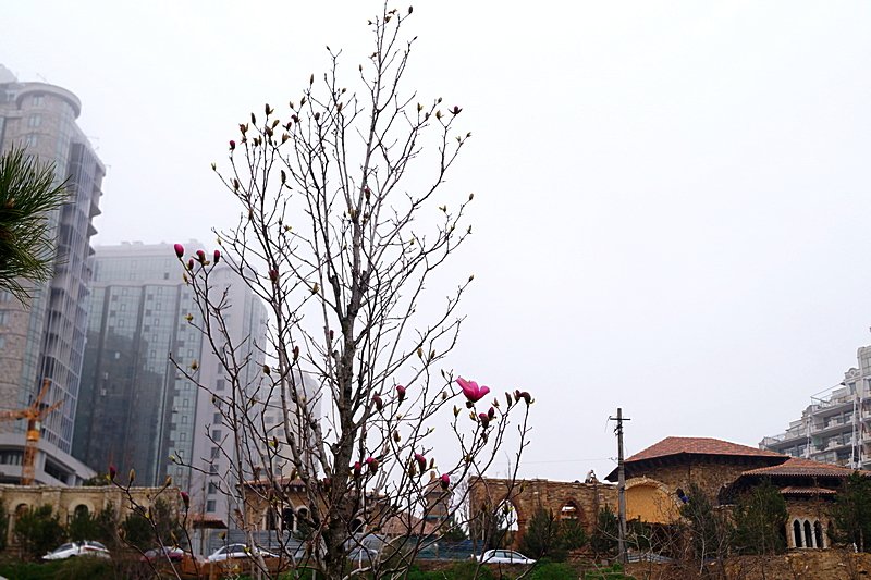 DSC02192