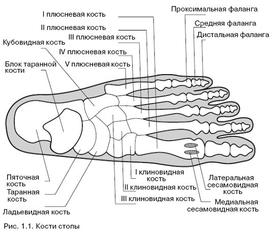 О стопе, фото-1