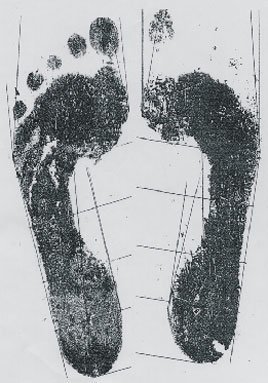 d3_2