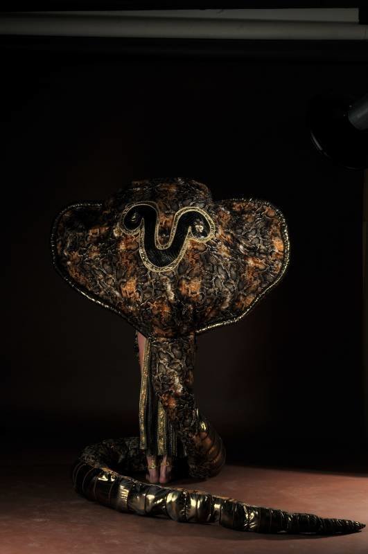 DSC_5345.JPG-for-web-xlarge