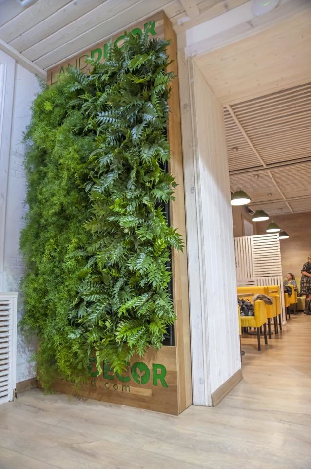 1509209_964442476912715_3482133395047135793_n