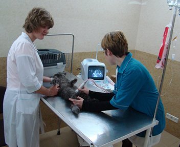 DSC04470_1